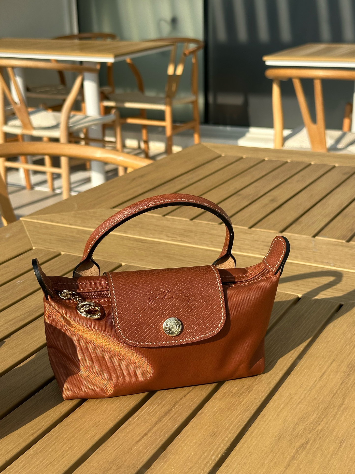 LongChamp Brown