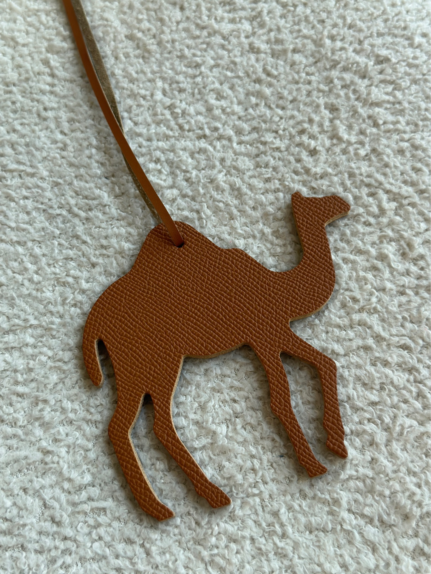 Camel Brown