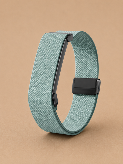 Fitbit Air strap