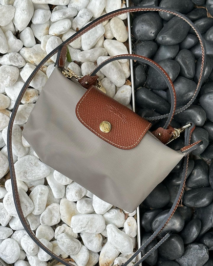 LongChamp Grey