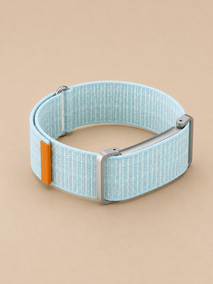 Fitbit Air strap